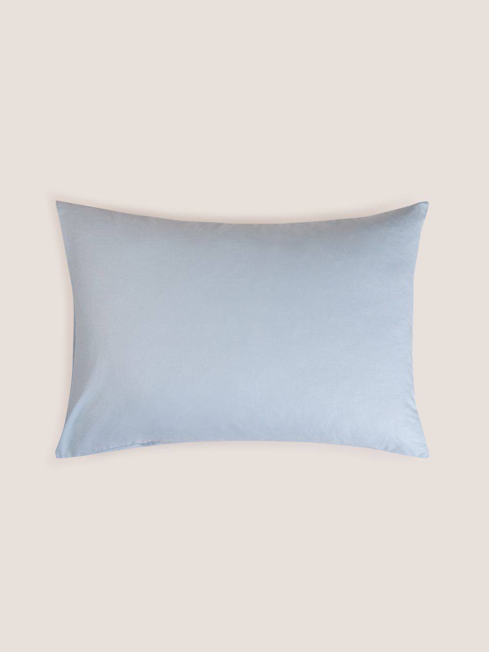 ציפית כותנה