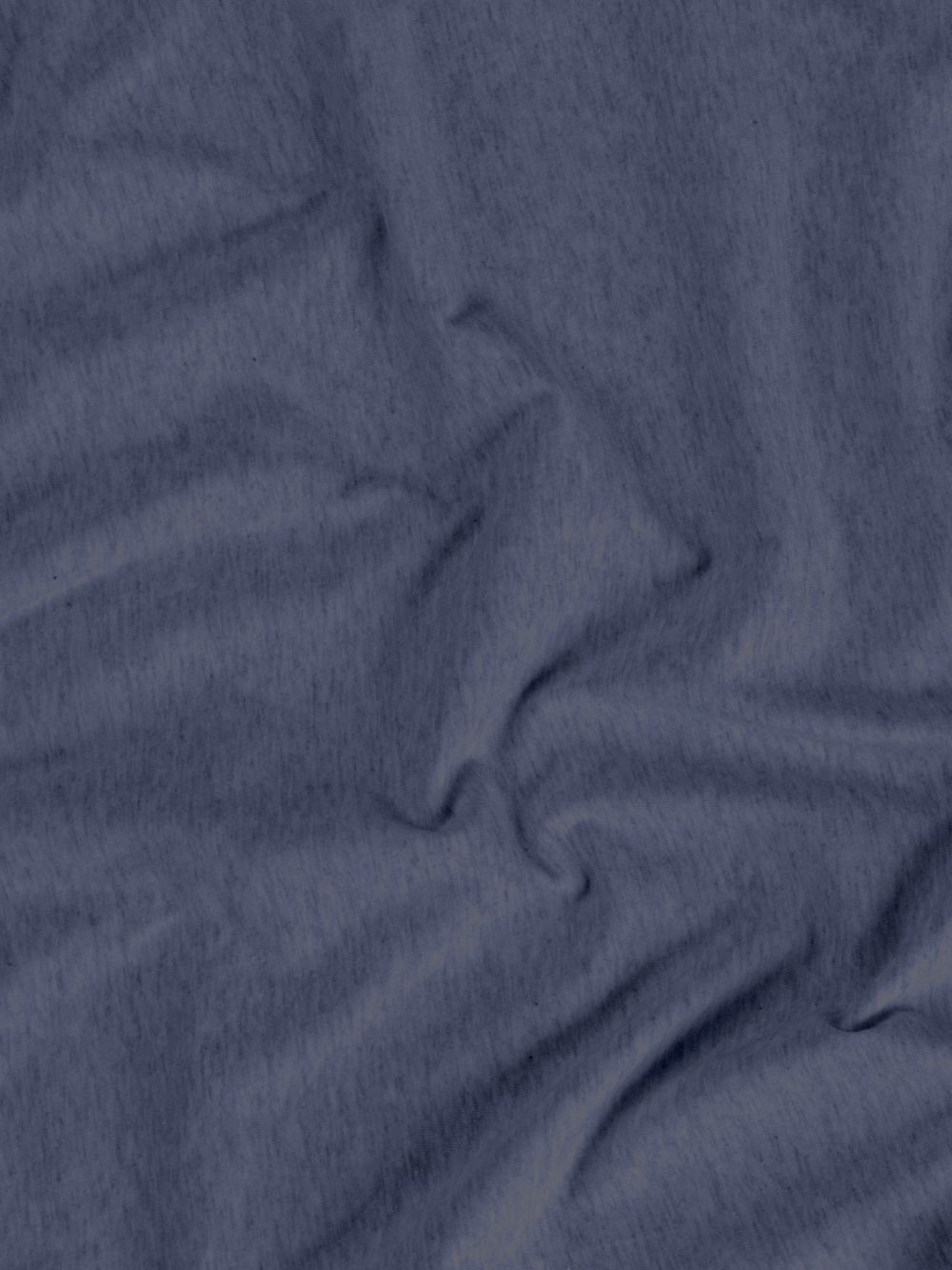 ציפית ג’רזי