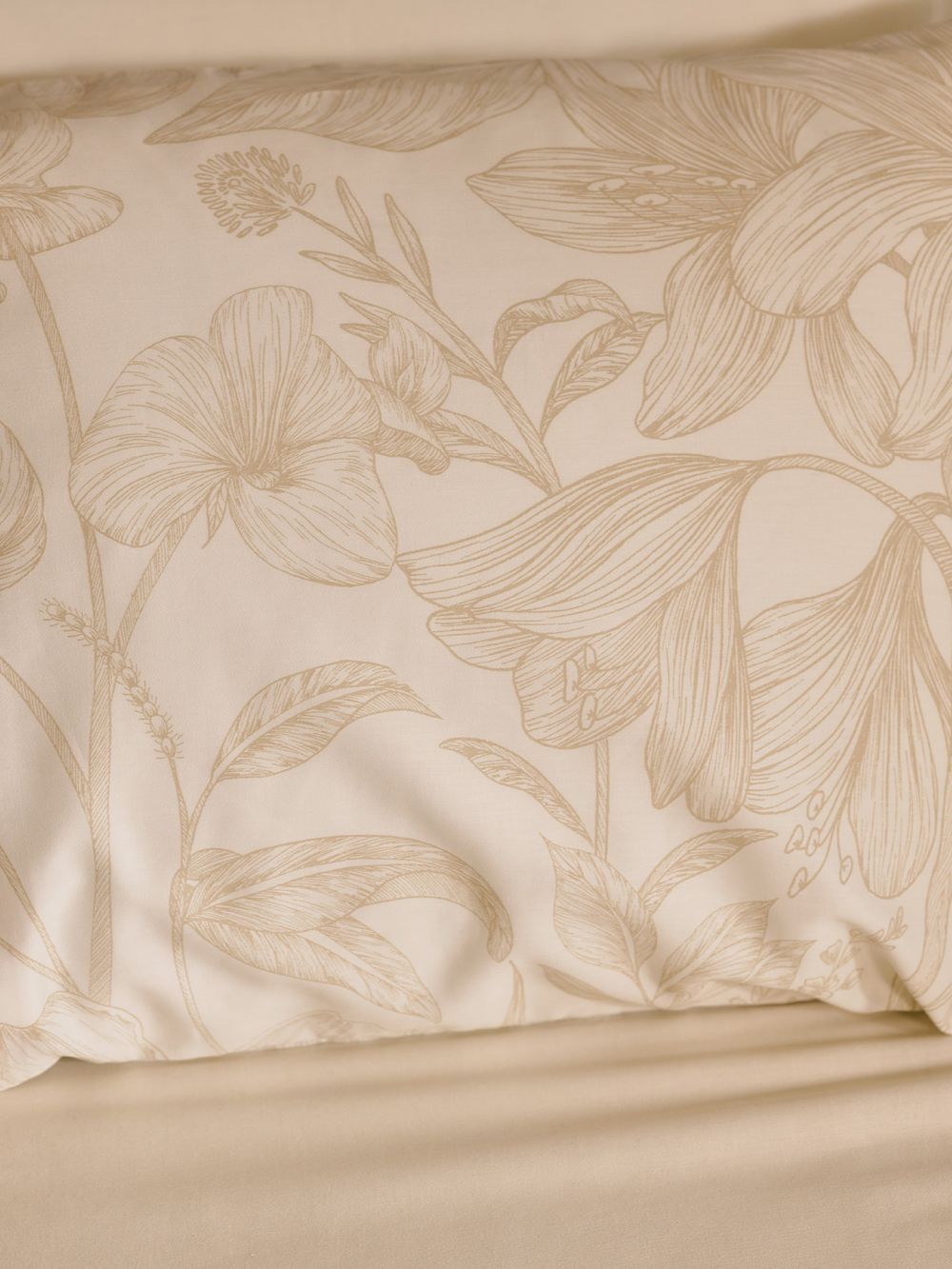 ציפית קירה 50X70CM ס״מ 220TC