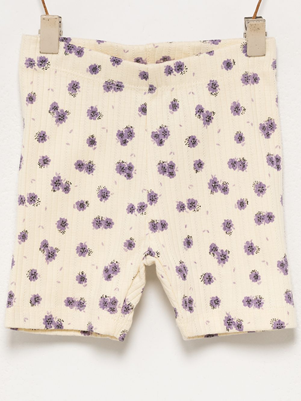 טייץ פוינטל קצר