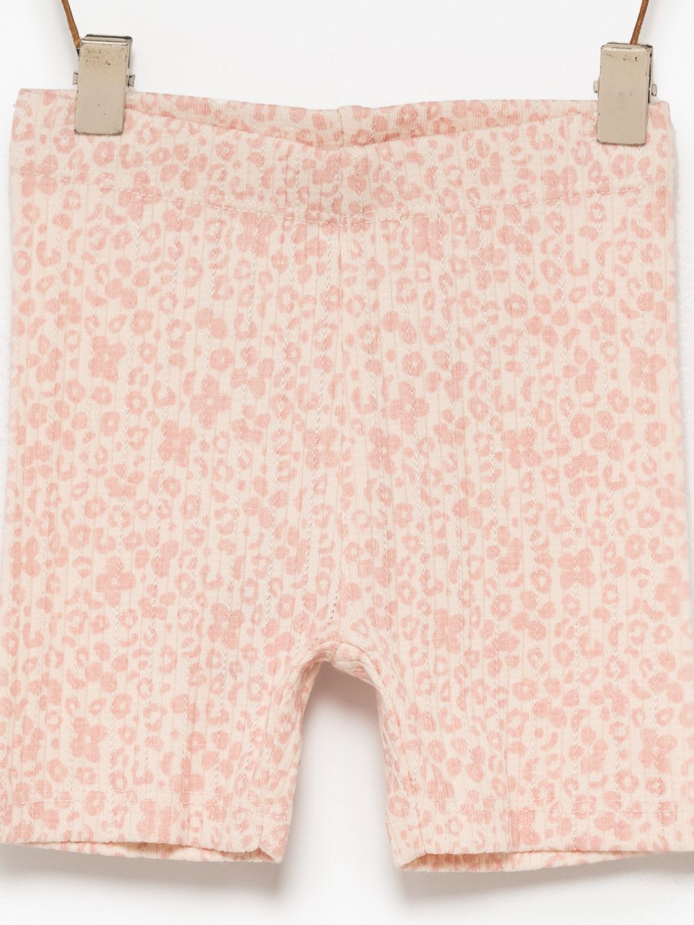 טייץ פוינטל קצר