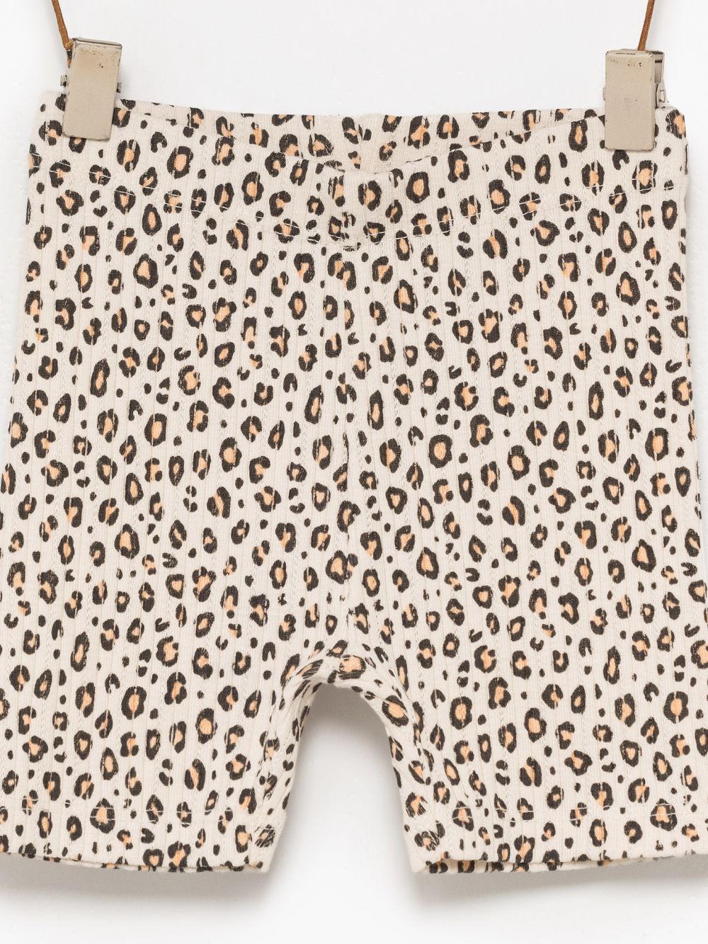 טייץ פוינטל קצר