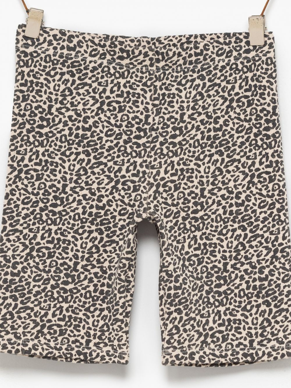 מכנסי פוינטל