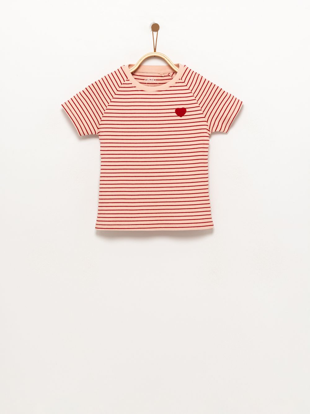 טי ריב עם דפוס