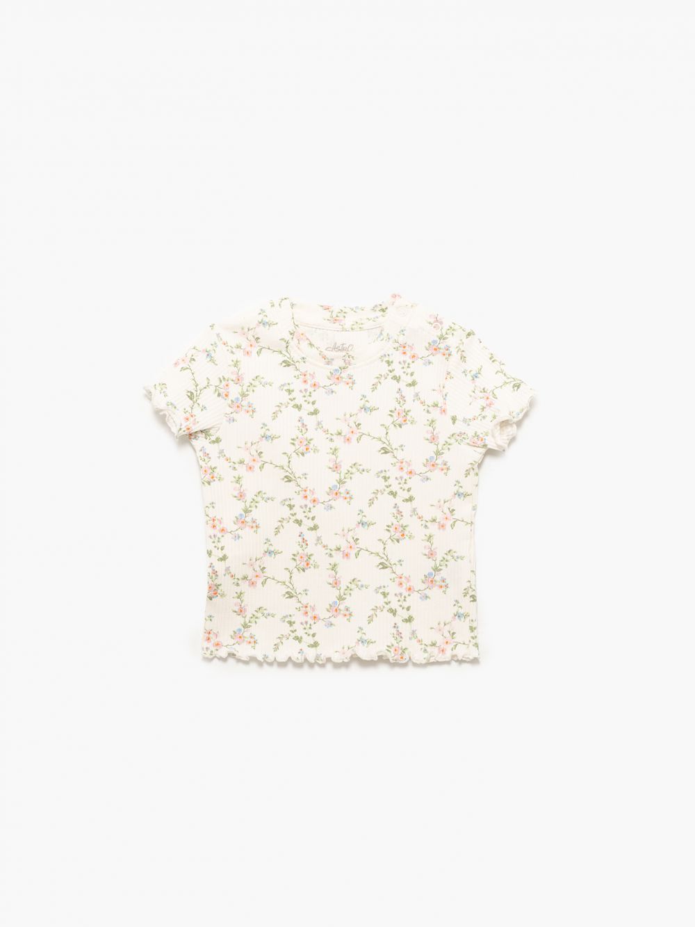 חולצות ריב מארז שלישייה