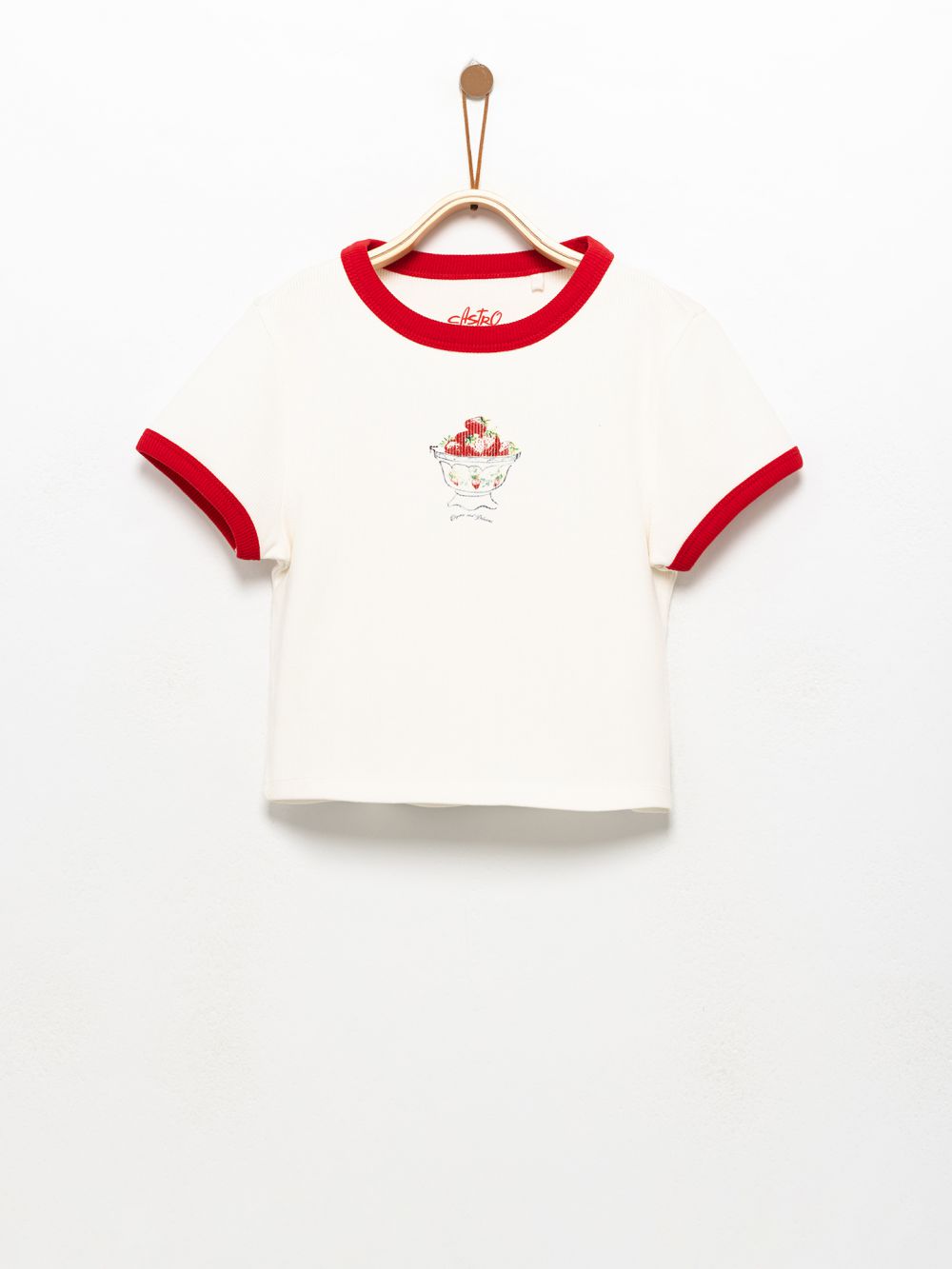 טי ריב מודפסת