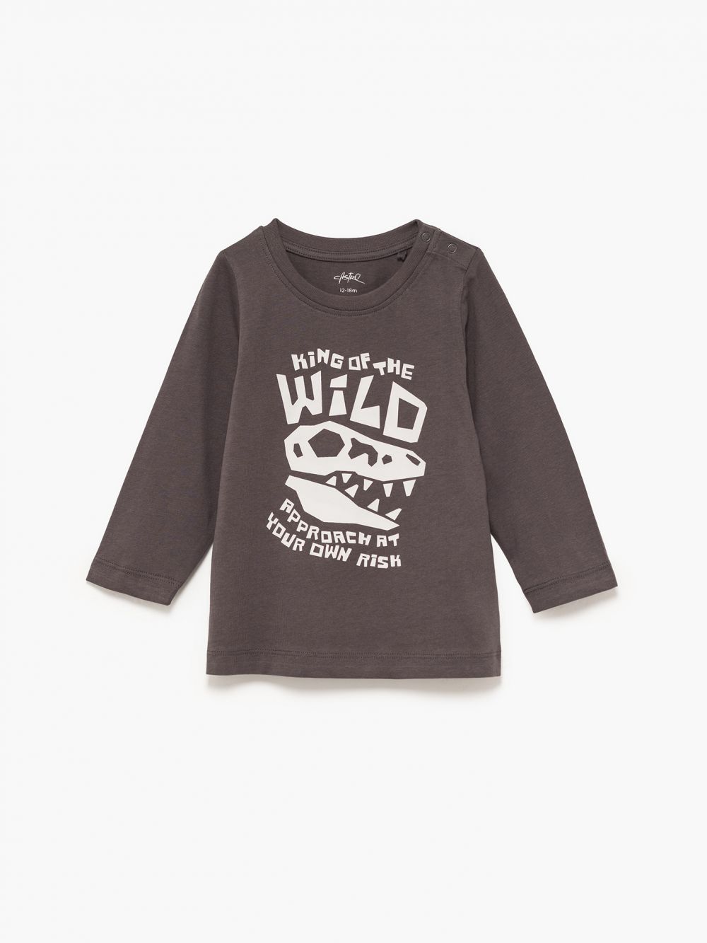 מארז חולצות 6M-4Y