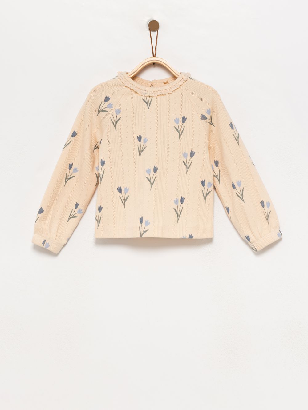 טי-שירט פוינטל ארוכה