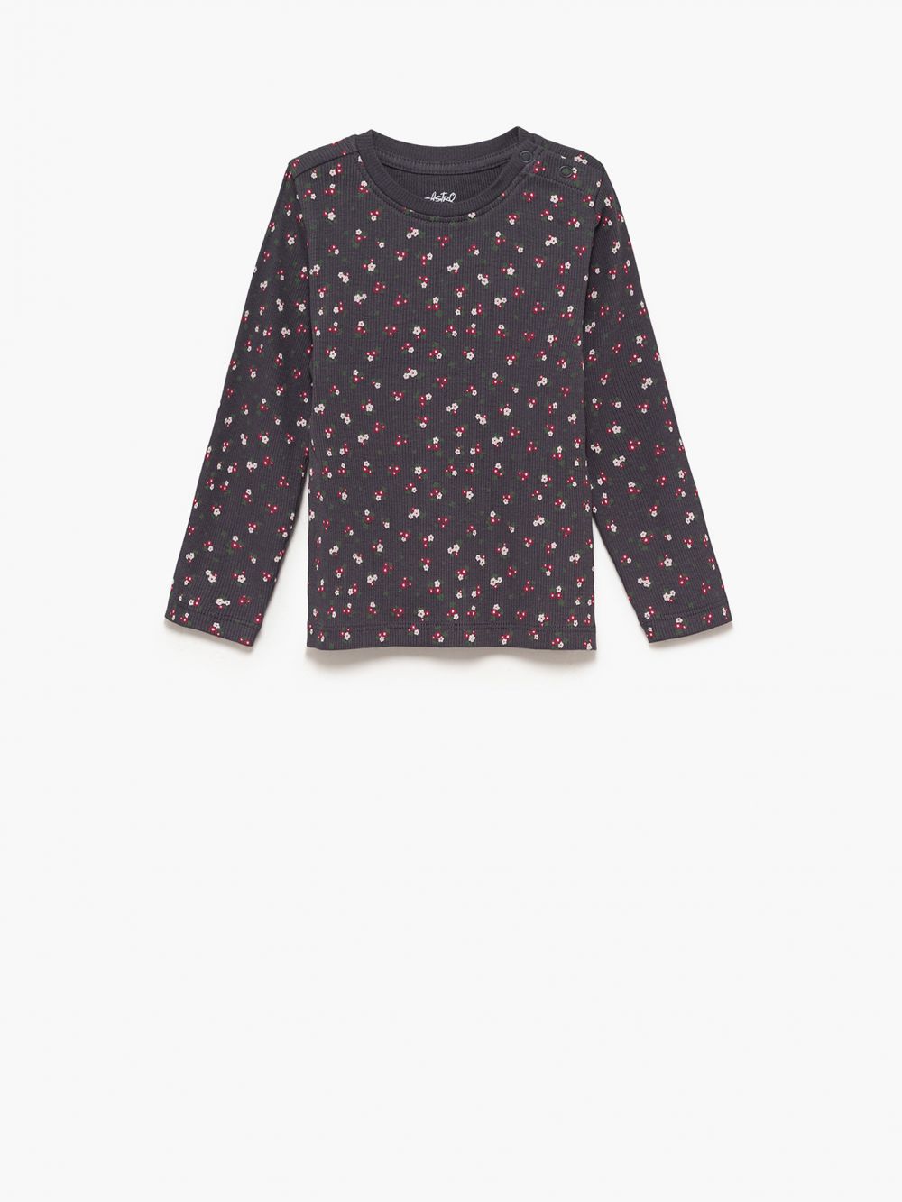 מארז ריב 6M-4Y