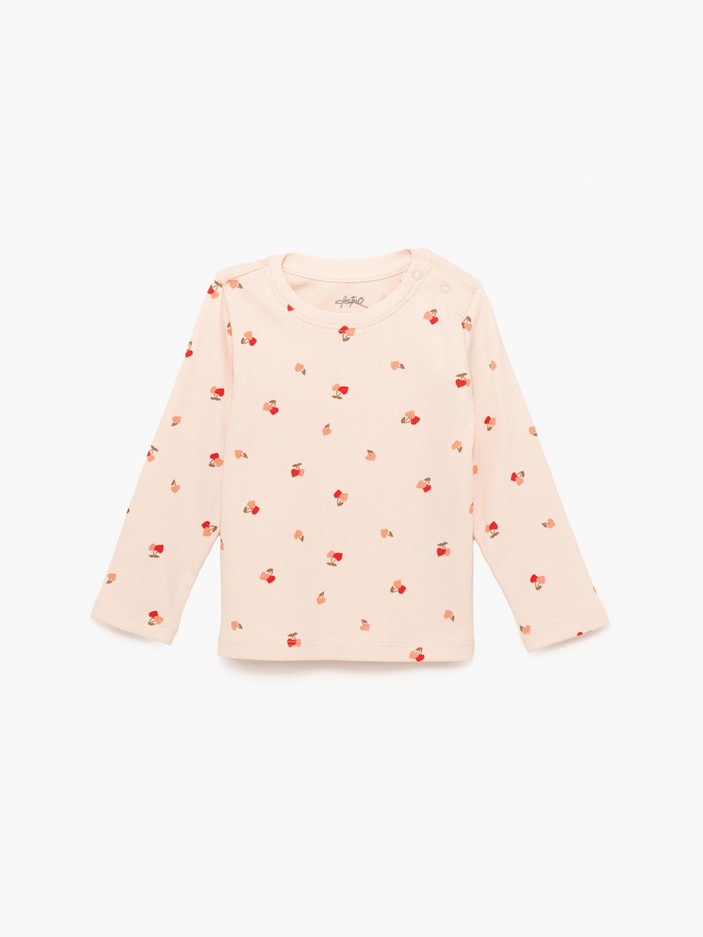 מארז ריב 6M-4Y