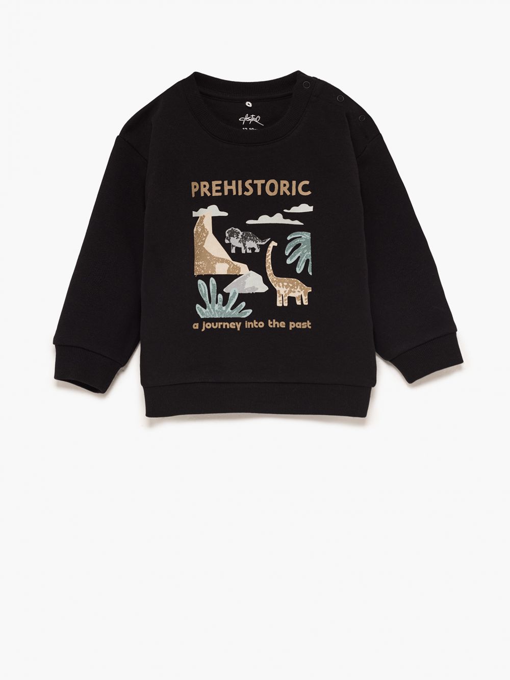 מארז זוג סווטשירטים 6M-4Y