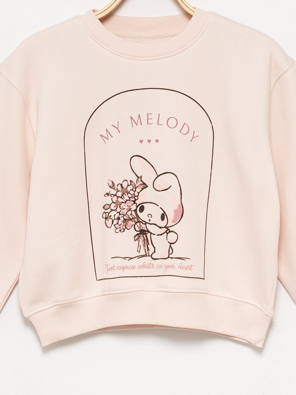 פוטר מיי מלודי