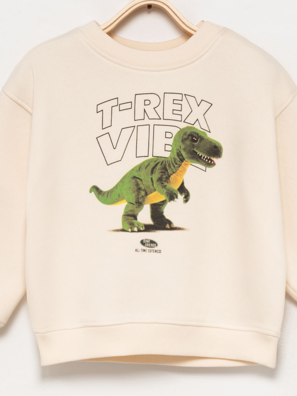 סווטשירט T-REX