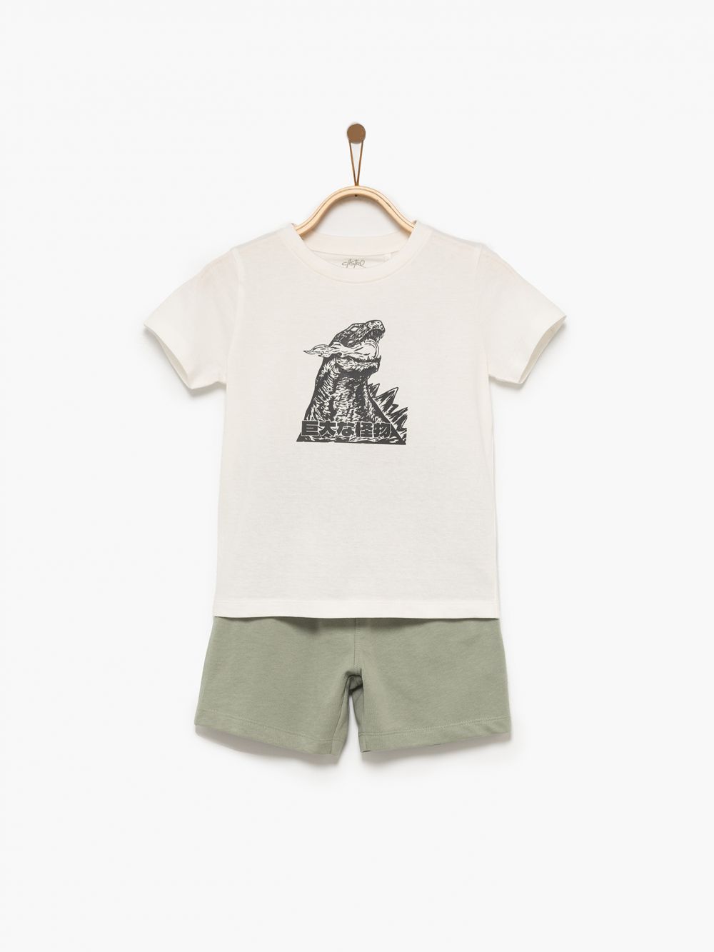 דינוזאור יפני 4Y-12Y