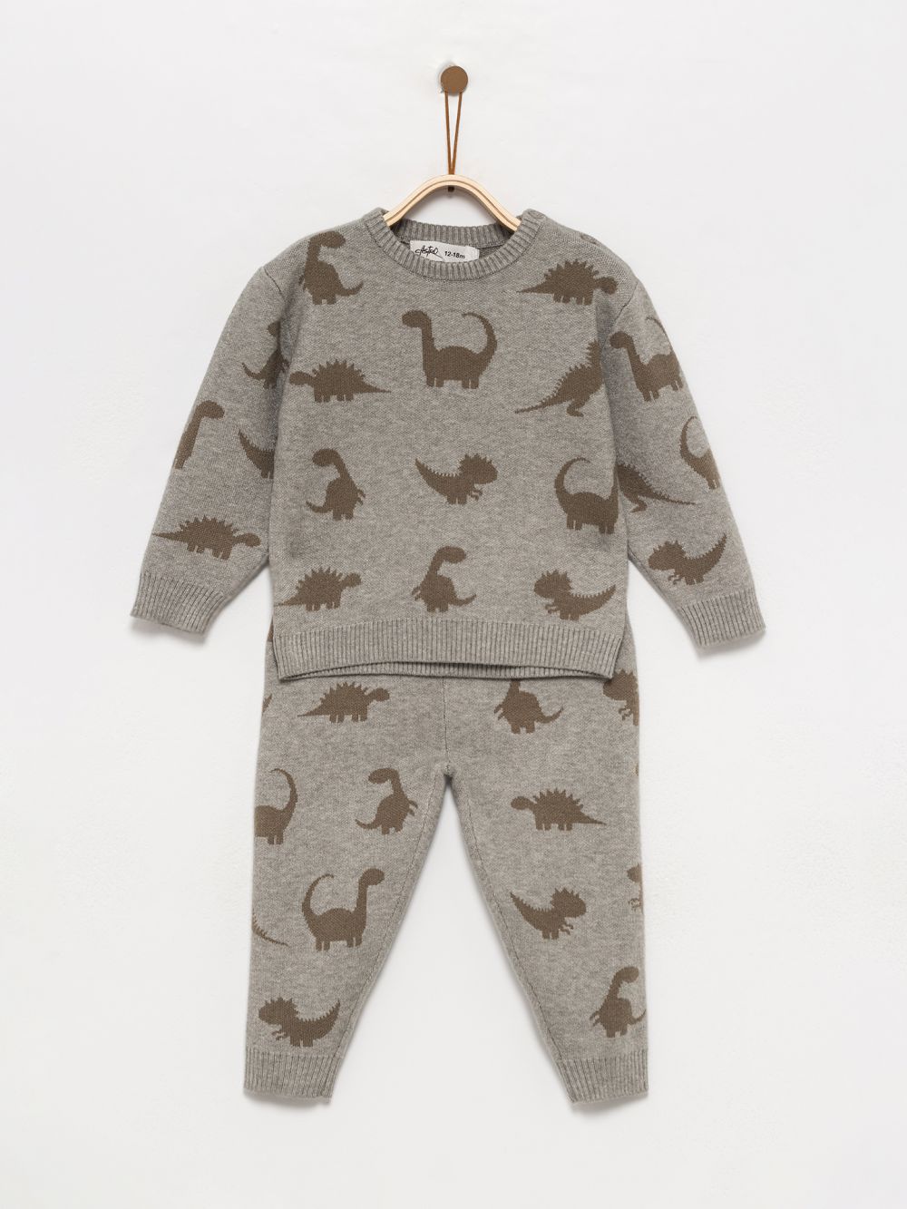 חליפת סריג דינוזאורים