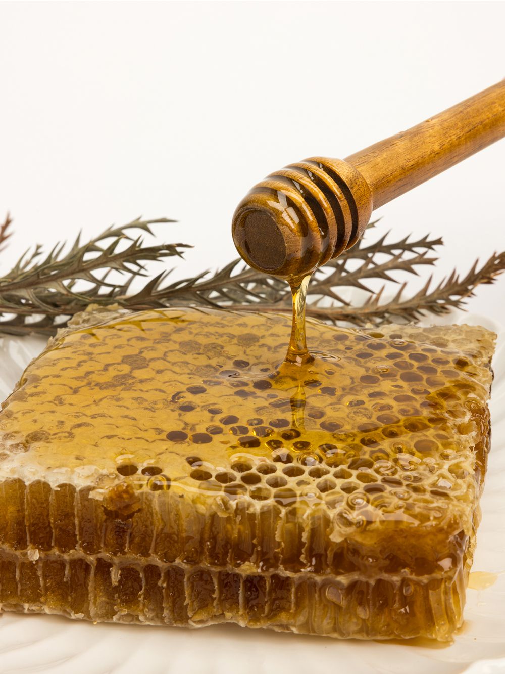 רודה דבש עץ השיטה אורך 14 ס”מ