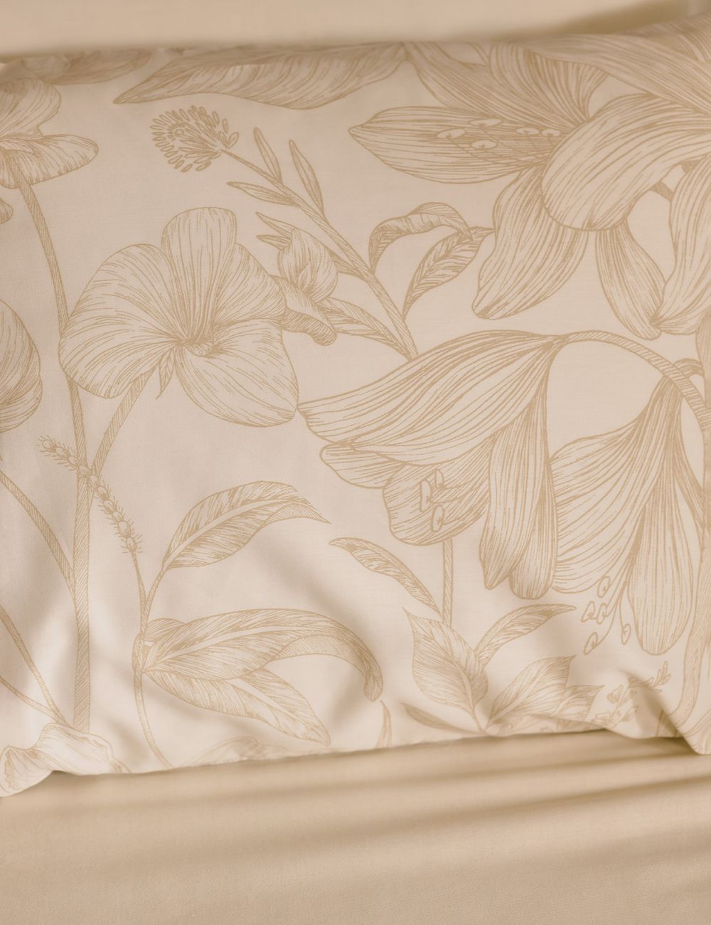 ציפית קירה 50X70CM ס״מ 220TC