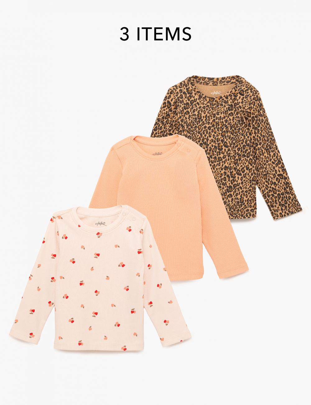 מארז ריב 6M-4Y