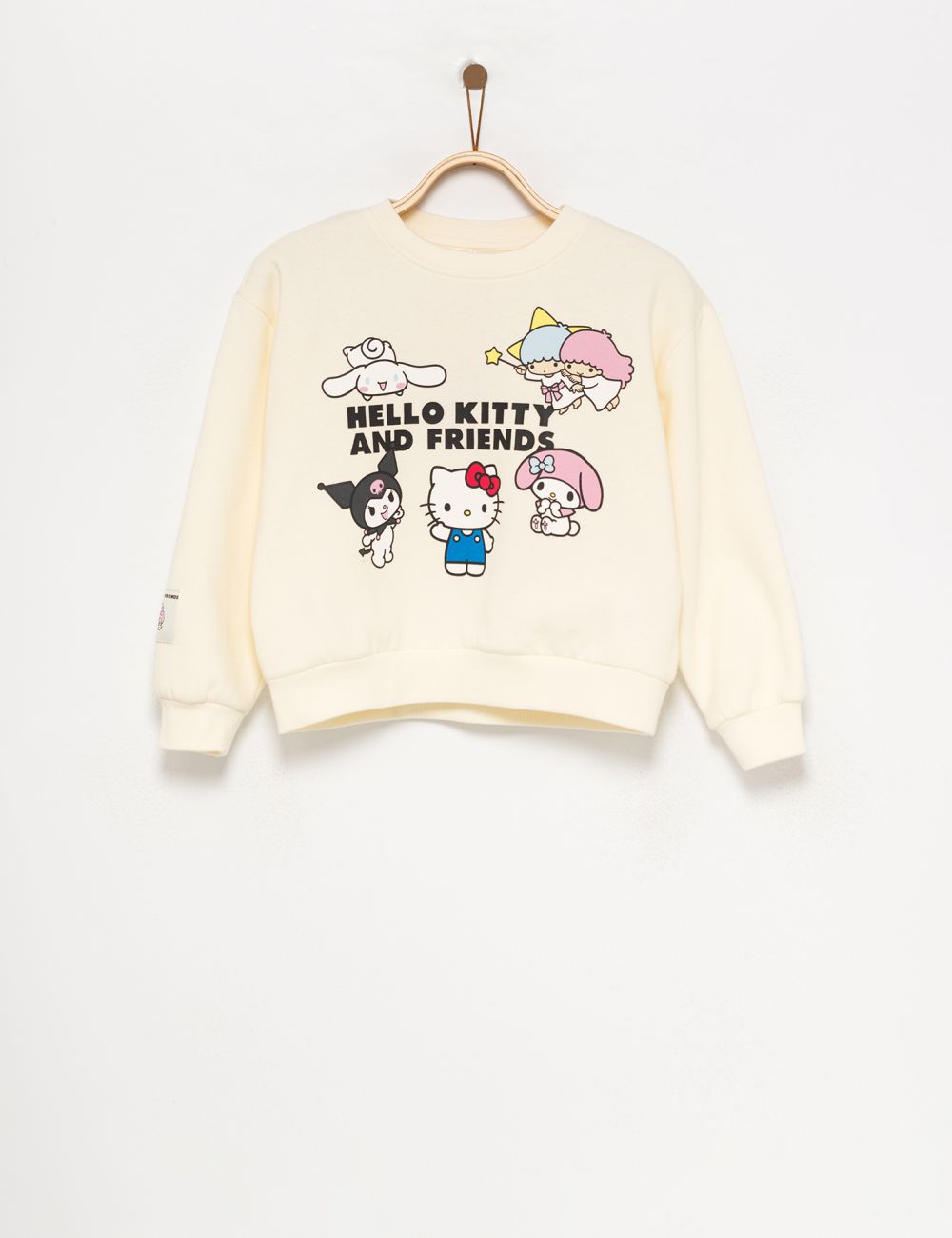 סווטשירט Hello Kitty & Friends