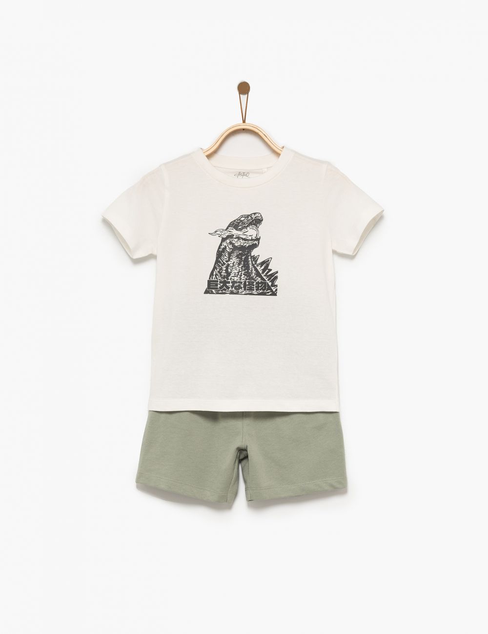 דינוזאור יפני 4Y-12Y