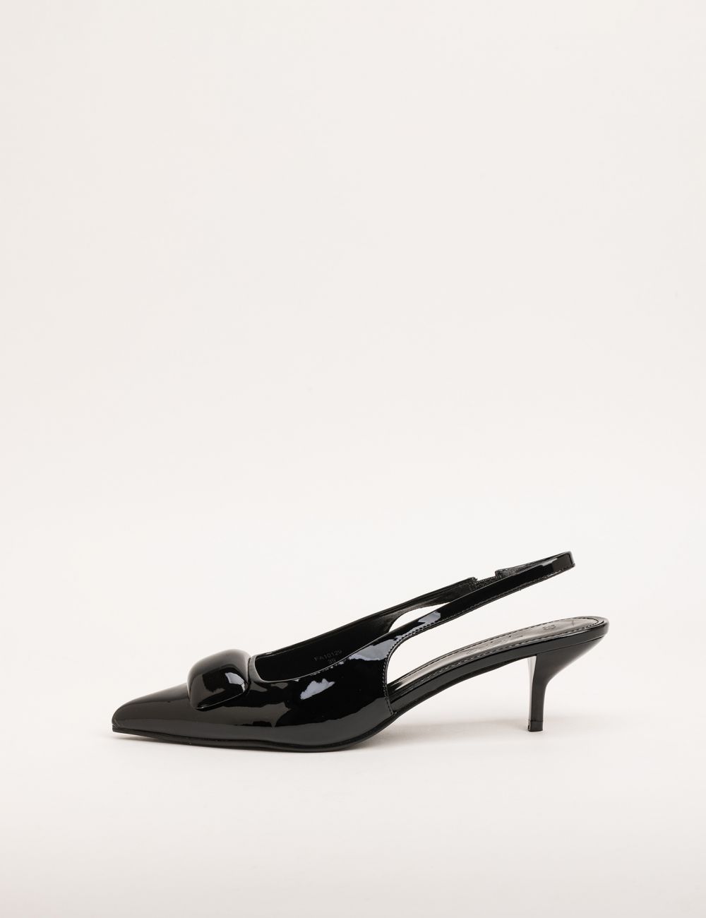 עקב קיטן עם חרטום מחודד