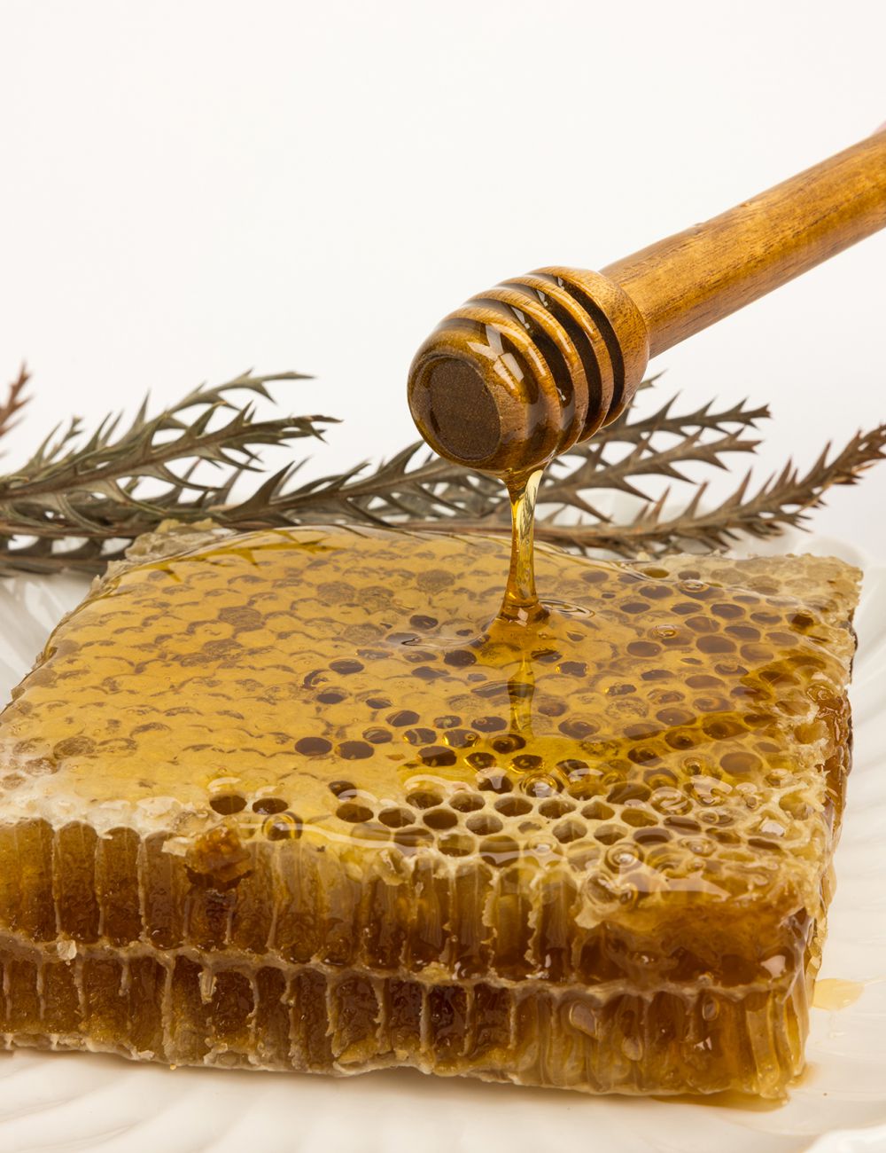 רודה דבש עץ השיטה אורך 14 ס”מ