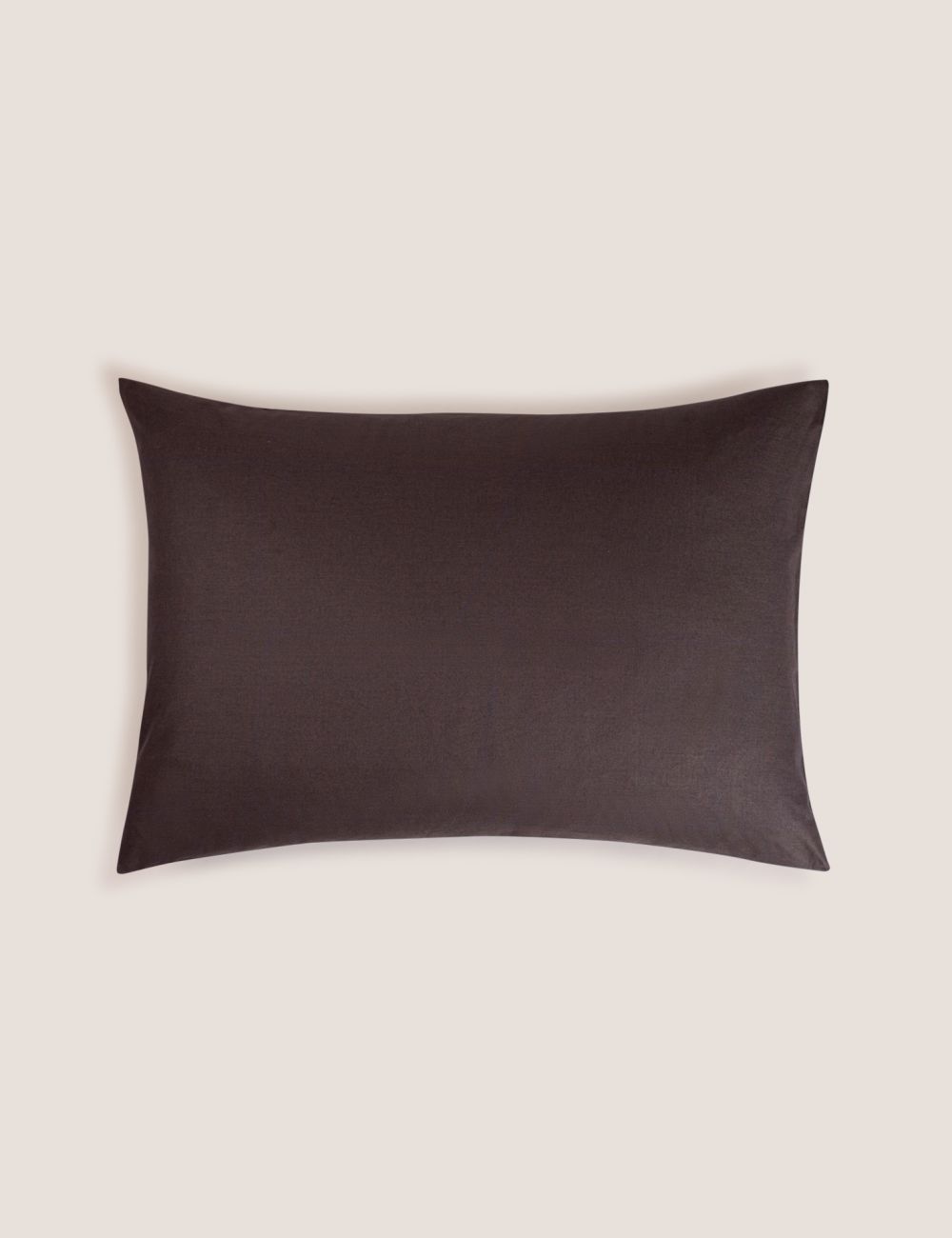 ציפית כותנה