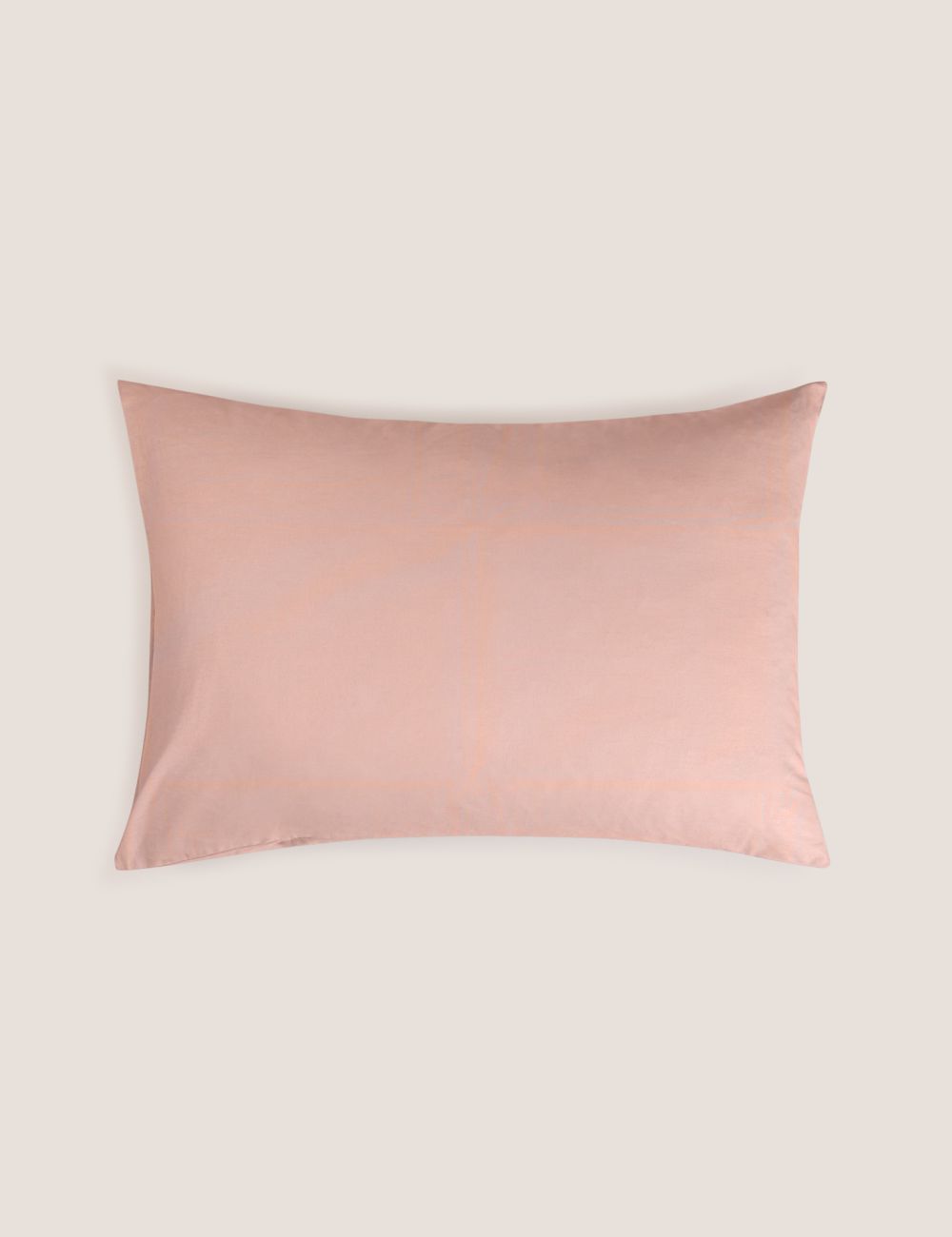 ציפית כותנה