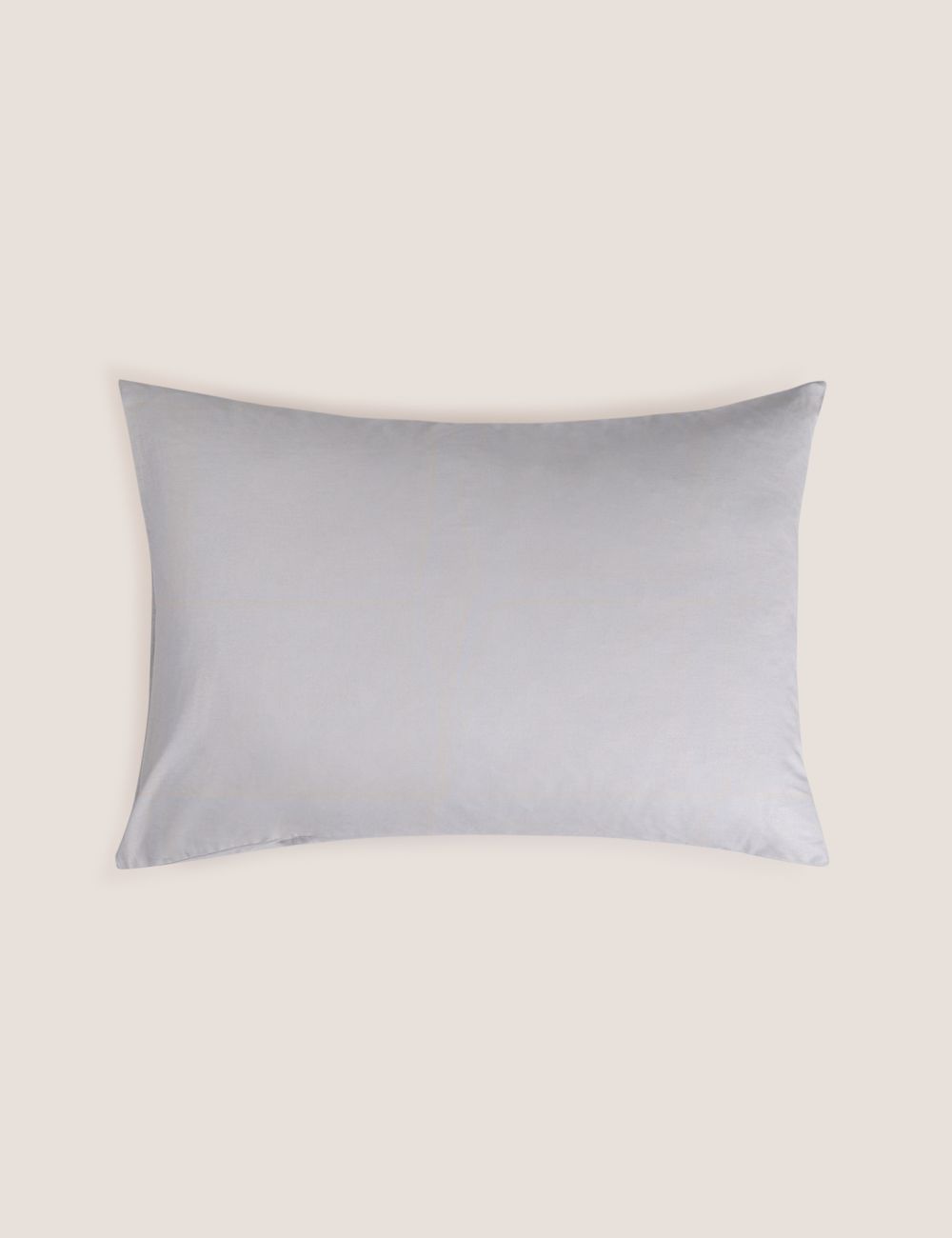 ציפית כותנה