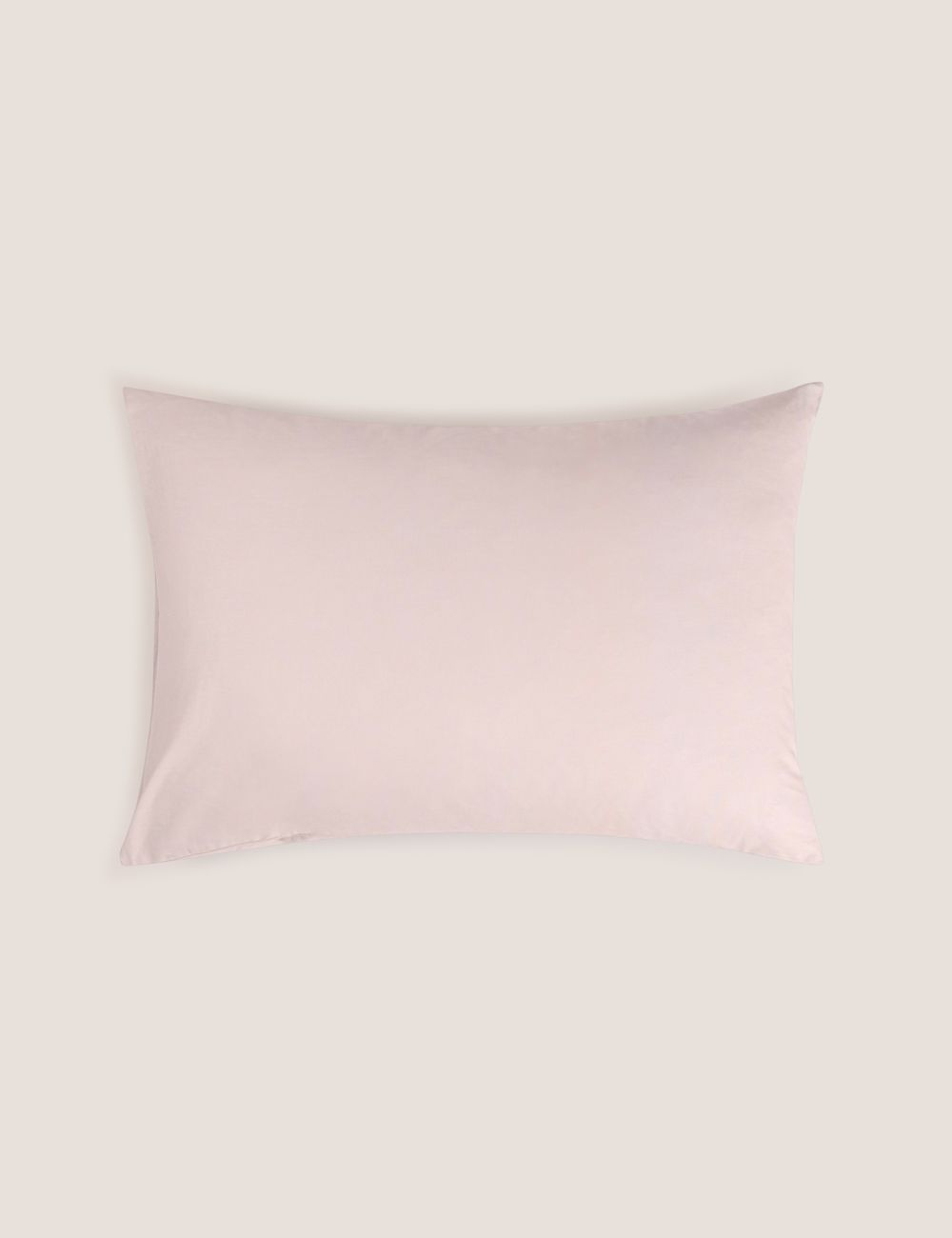 ציפית כותנה