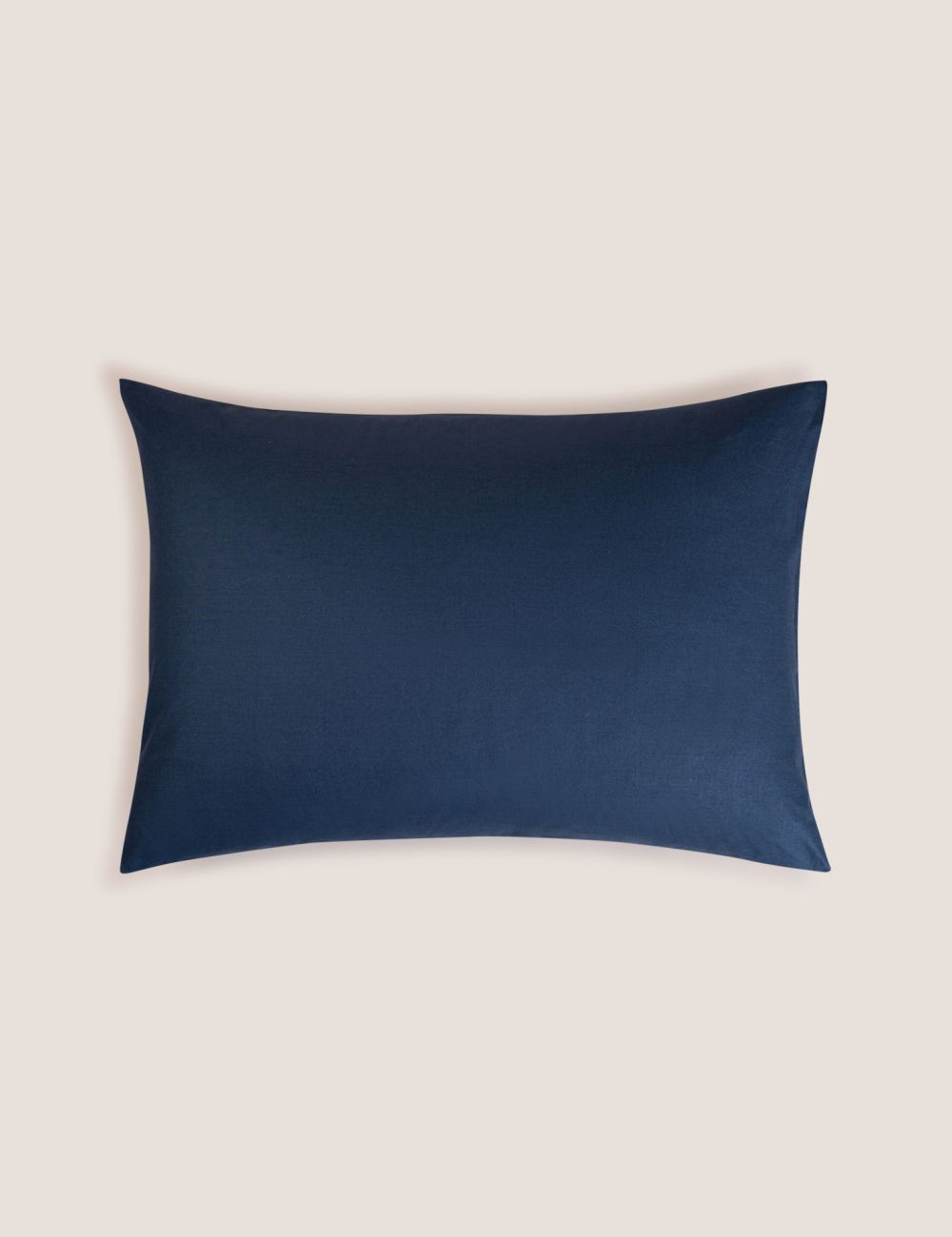 ציפית כותנה