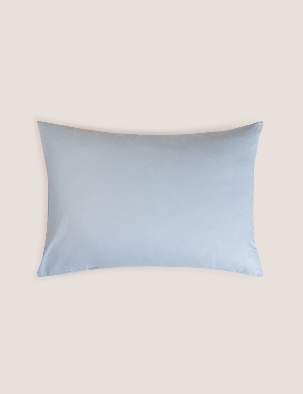 ציפית כותנה