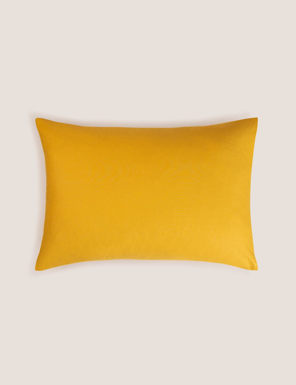 ציפית כותנה