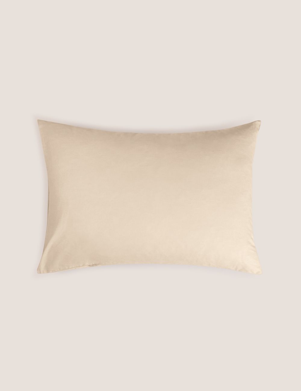 ציפית כותנה