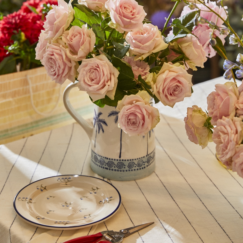 רנגו וקסטרו קנו עכשיו