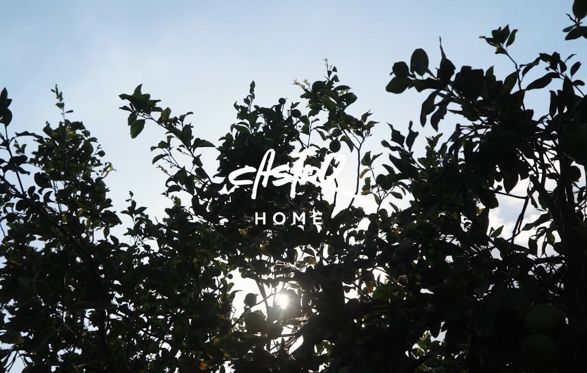 קולקציית הום