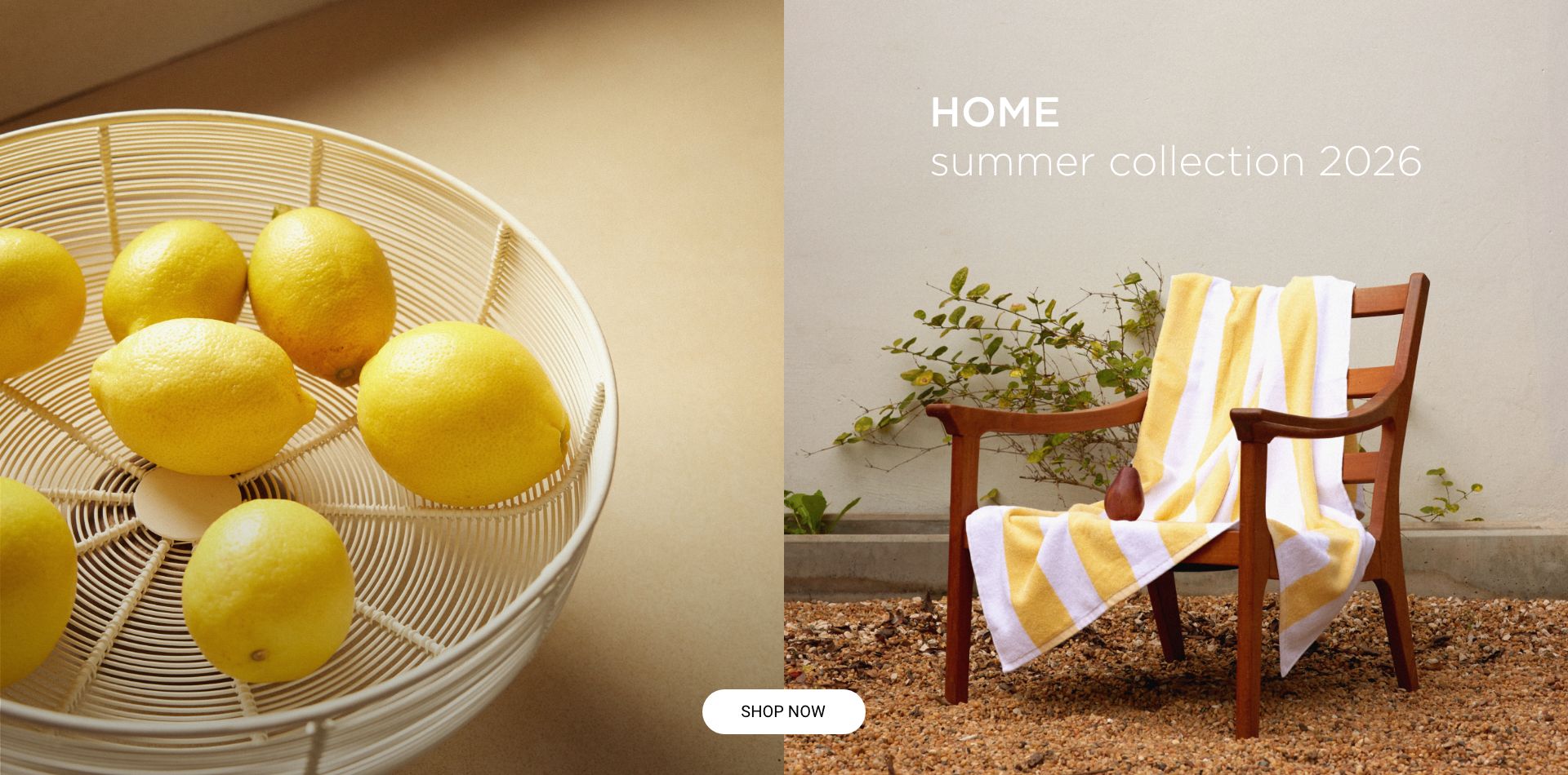 קולקציה חדשה